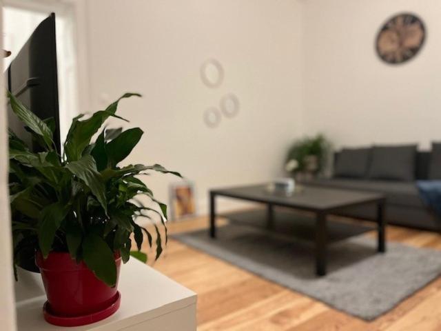 Cosy Rent-Strasbourg Gare 1-Wifi Lägenhet Exteriör bild