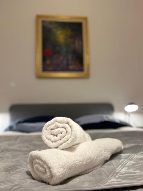 Cosy Rent-Strasbourg Gare 1-Wifi Lägenhet Exteriör bild