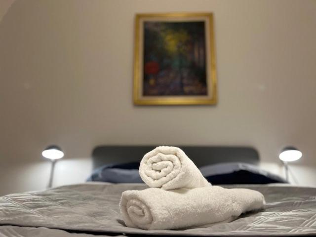 Cosy Rent-Strasbourg Gare 1-Wifi Lägenhet Exteriör bild