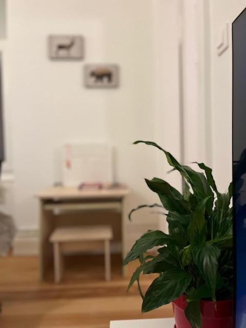 Cosy Rent-Strasbourg Gare 1-Wifi Lägenhet Exteriör bild